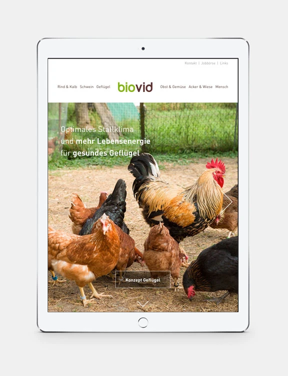 iPad Biovid