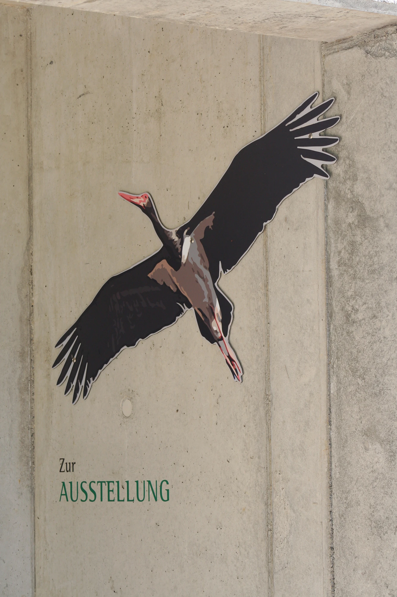storch