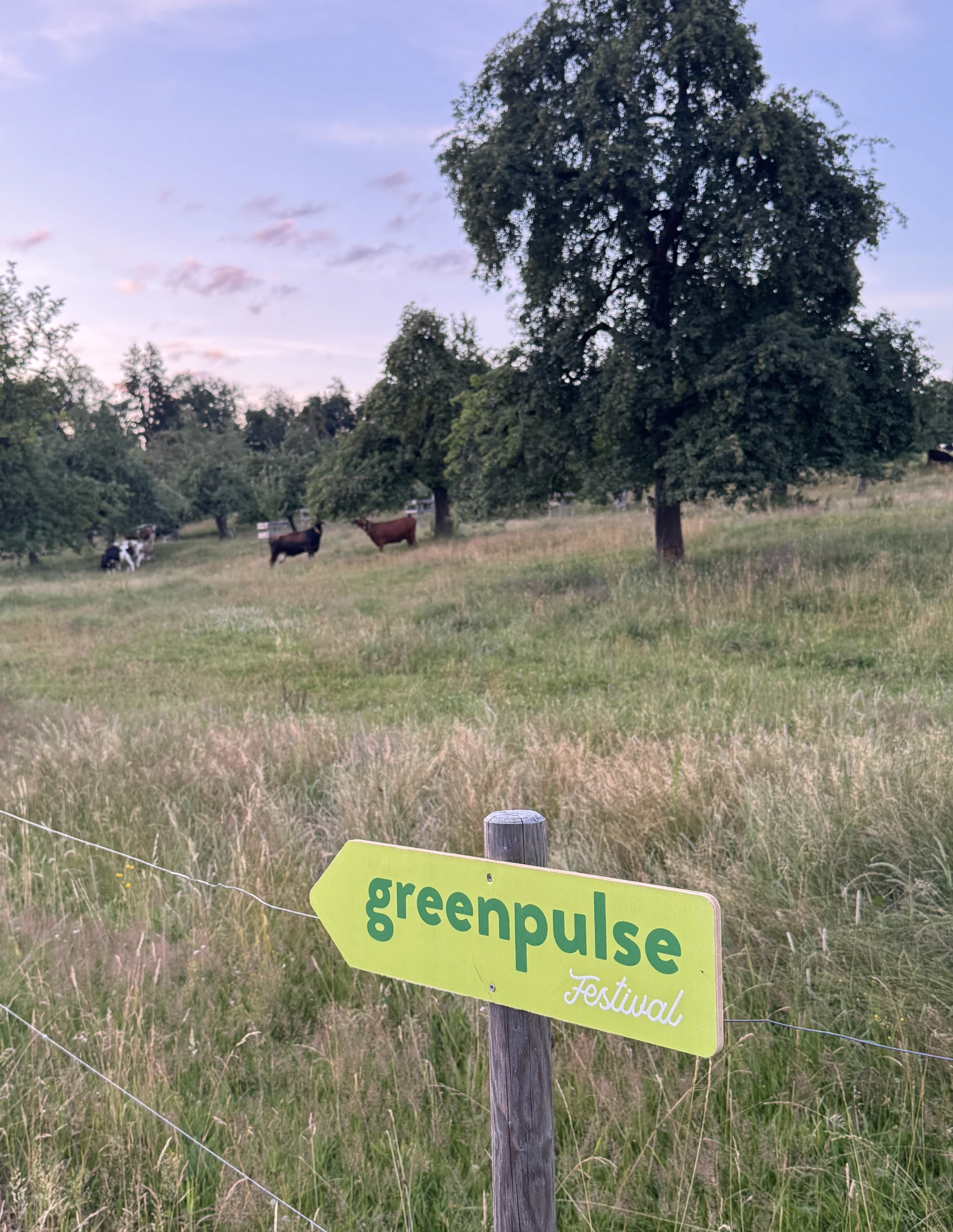 Greenpulse Festival Wegweiser