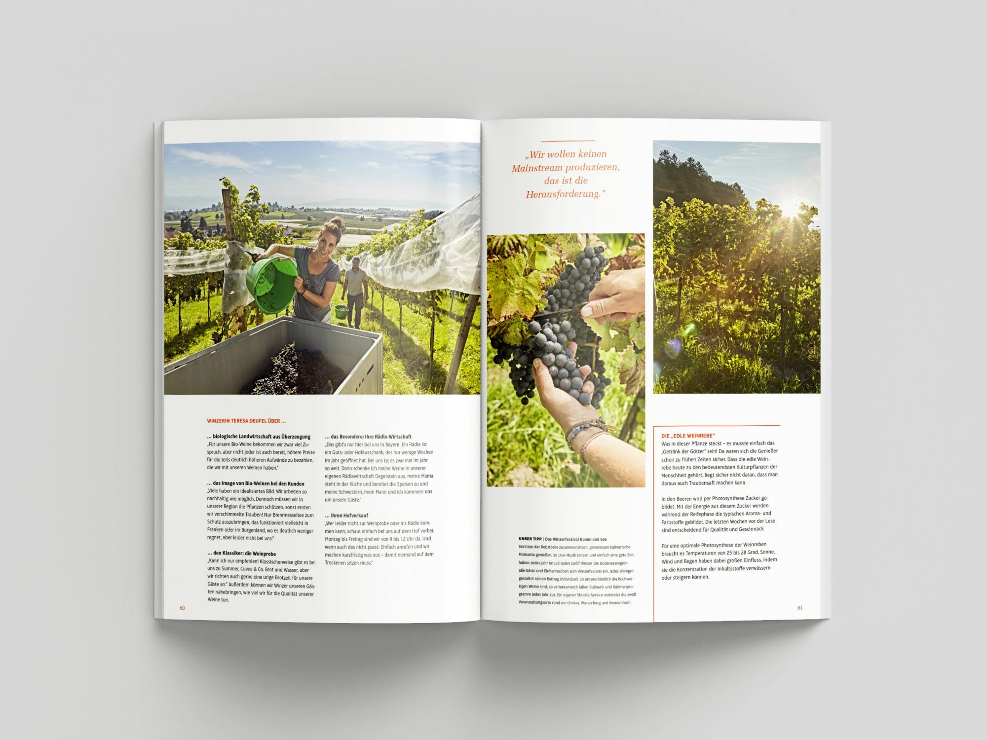Lindau Tourismus, Urlaubsmagazin 