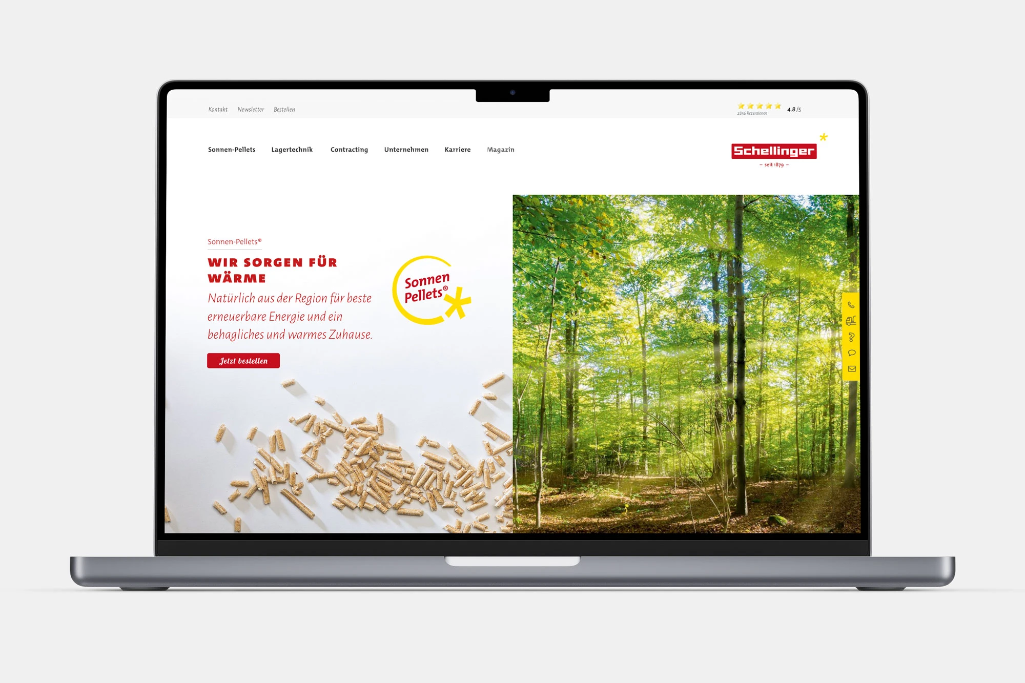 Schellinger web